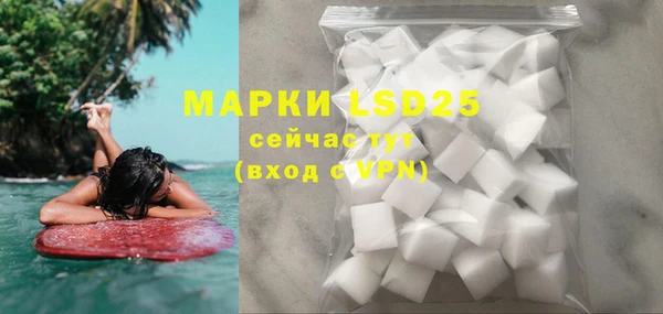 прущие грибы Абинск