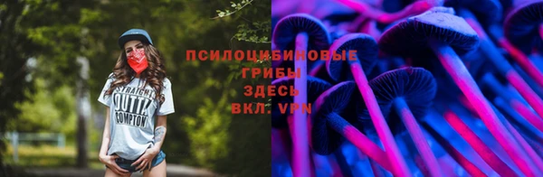 хмурый Сатка
