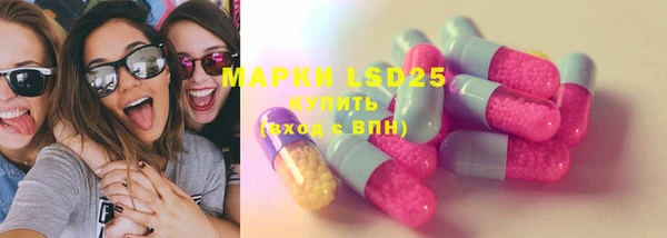 прущие грибы Абинск