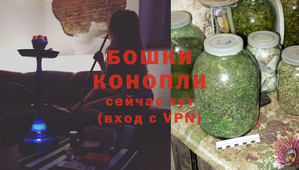стаф Сафоново