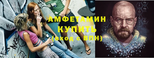 прущие грибы Абинск