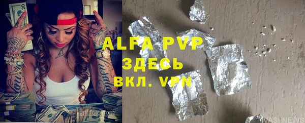 прущие грибы Абинск