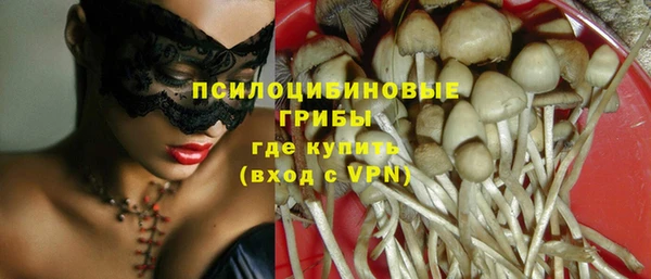 прущие грибы Абинск