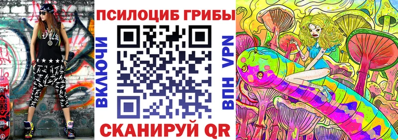 Псилоцибиновые грибы Psilocybe  Карабаново 